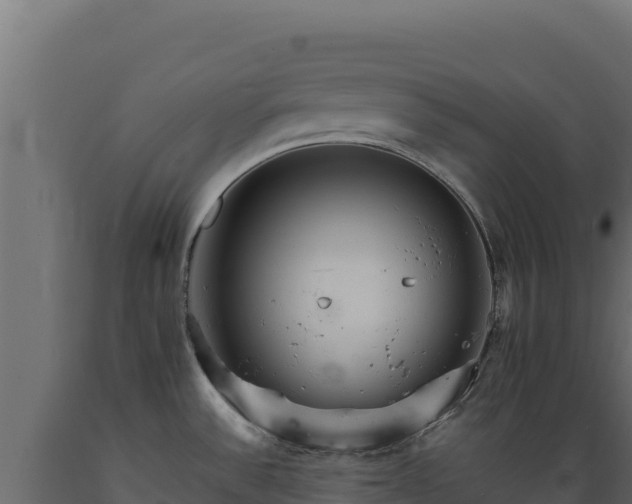 X0000089941532200707061050