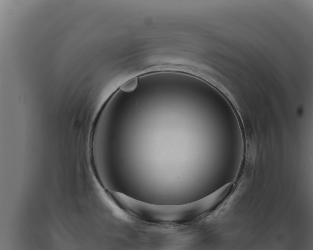 X0000089941533200707061050