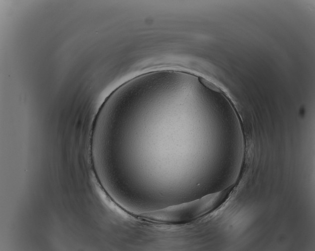 X0000089941534200707061050
