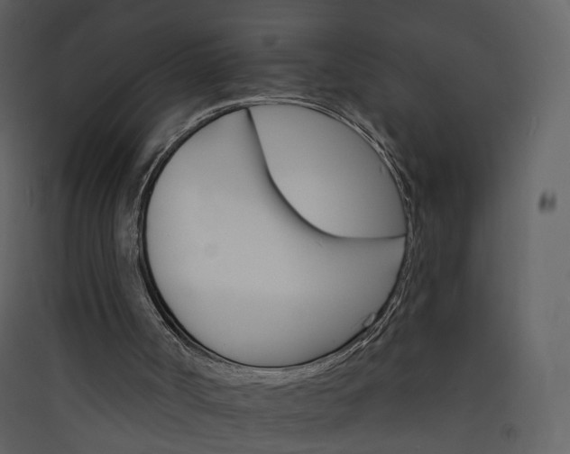 X0000089940002200707131504