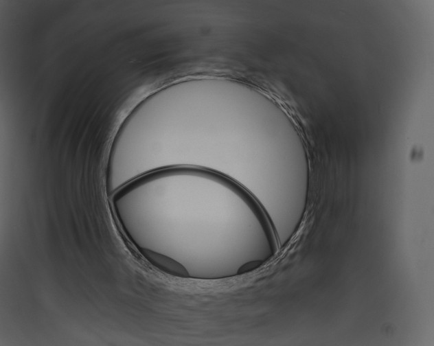 X0000089940003200707131504