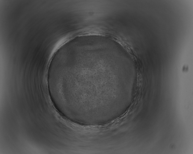 X0000089940004200707131504