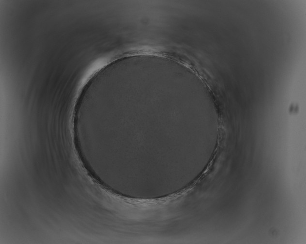 X0000089940006200707131504