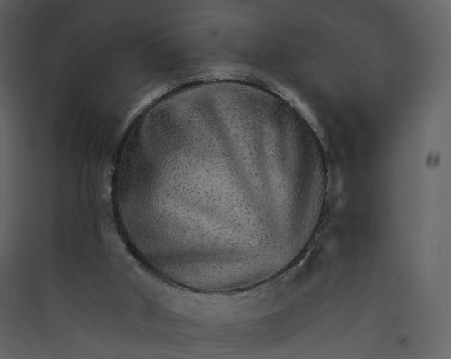 X0000089940010200707131504