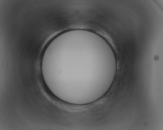 X0000089940012200707131504