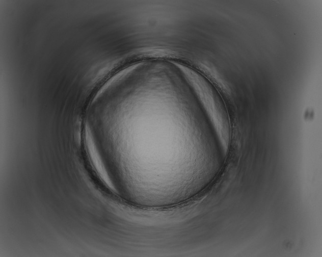 X0000089940014200707131504