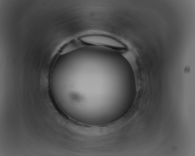 X0000089940015200707131504