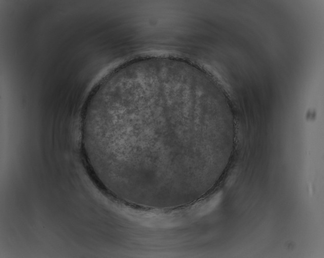 X0000089940016200707131504