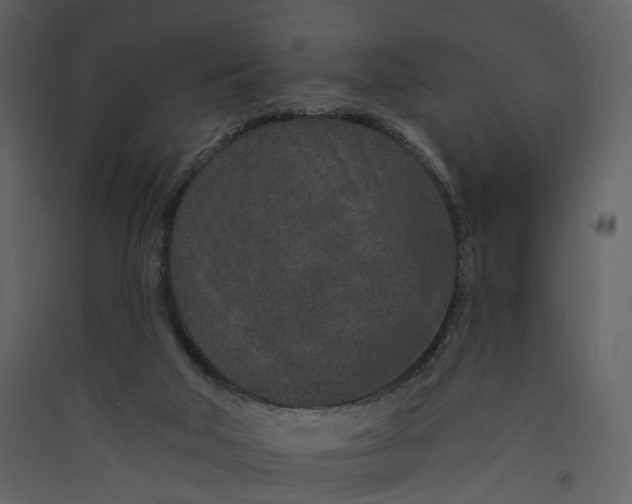 X0000089940018200707131504