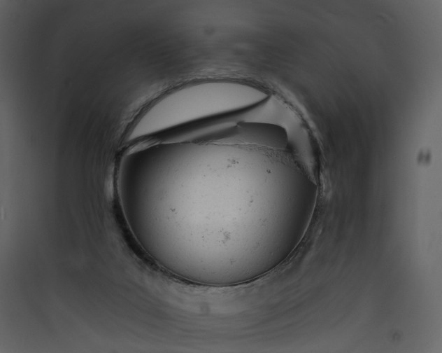 X0000089940019200707131504