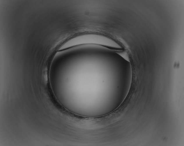 X0000089940020200707131504