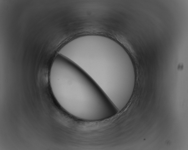 X0000089940021200707131504