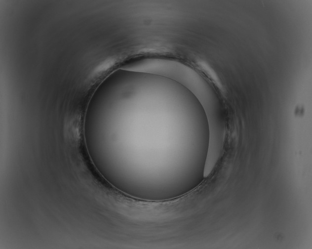 X0000089940023200707131504