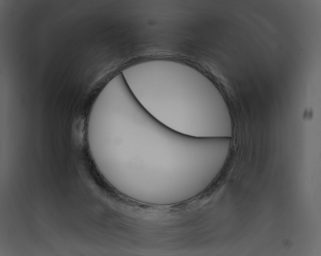 X0000089940024200707131504