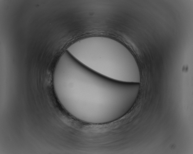 X0000089940025200707131504