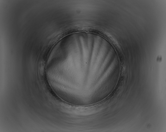 X0000089940026200707131504