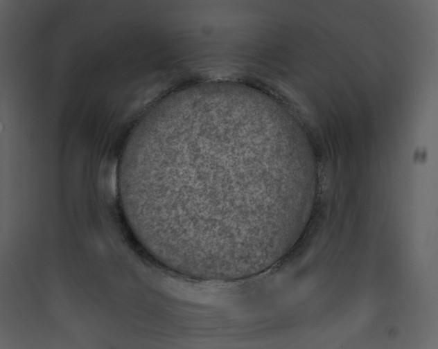 X0000089940028200707131504