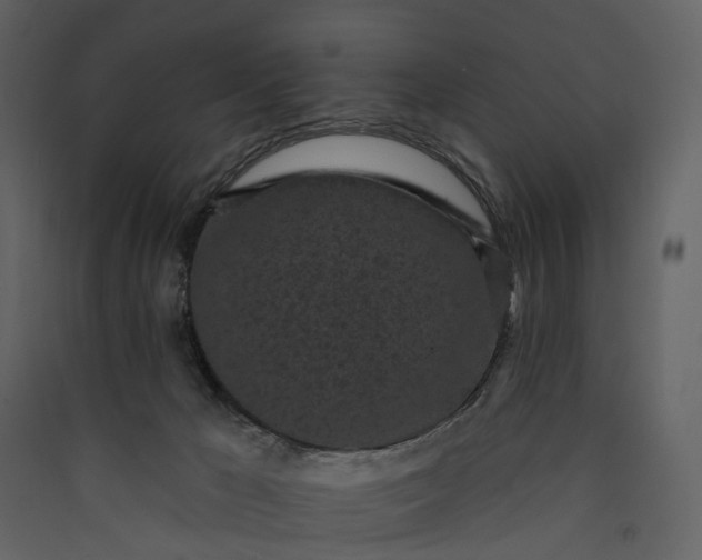 X0000089940029200707131504