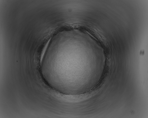 X0000089940030200707131504