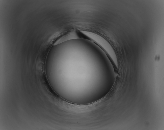 X0000089940031200707131504