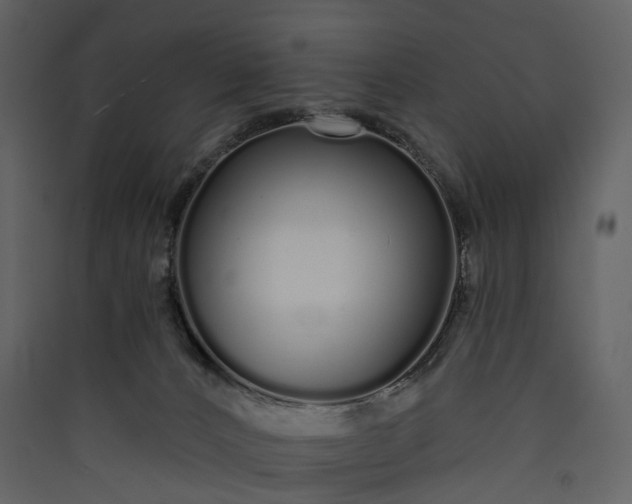 X0000089940032200707131504