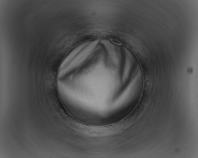 X0000089940034200707131504