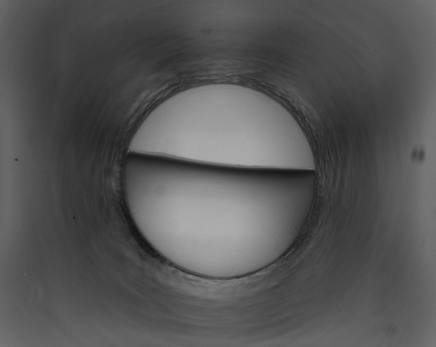 X0000089940035200707131504