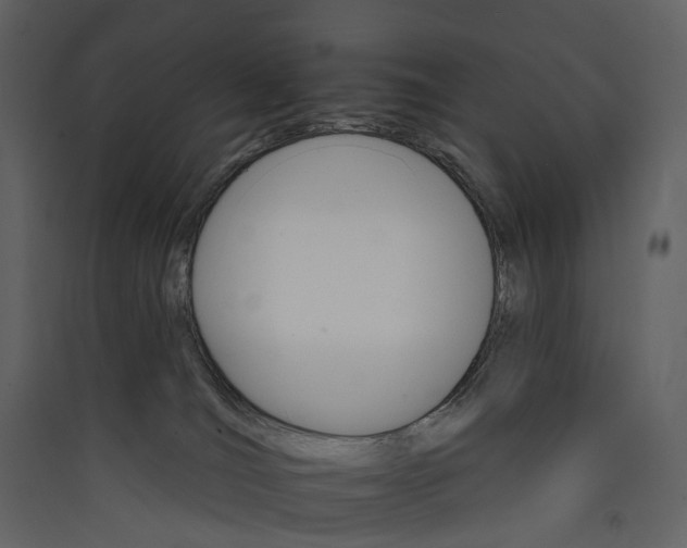 X0000089940036200707131504