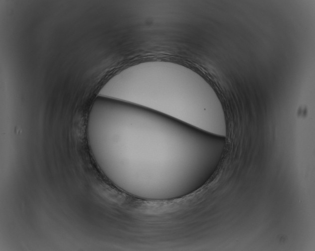 X0000089940037200707131504