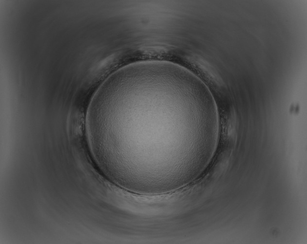 X0000089940038200707131504