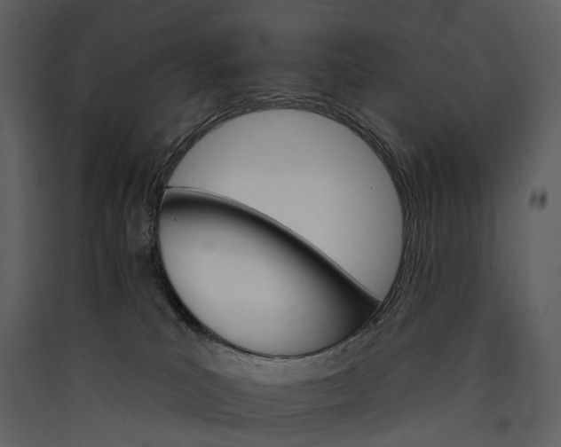 X0000089940039200707131504