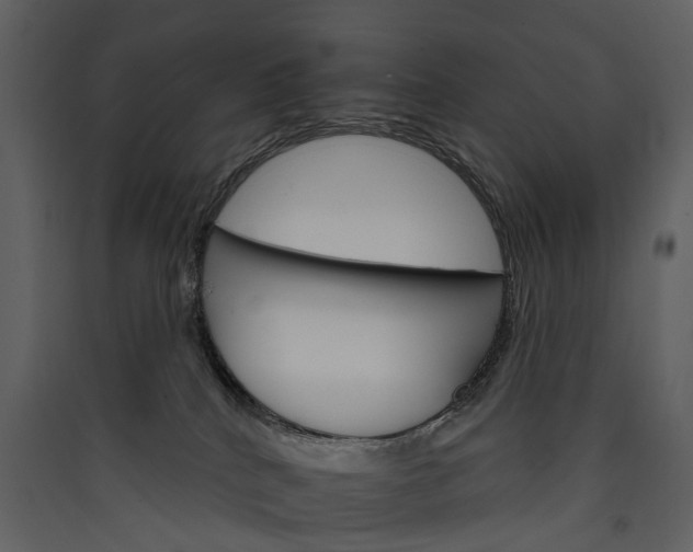 X0000089940040200707131504