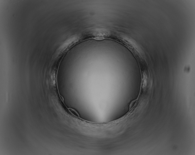 X0000089940043200707131503