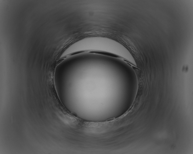 X0000089940045200707131503