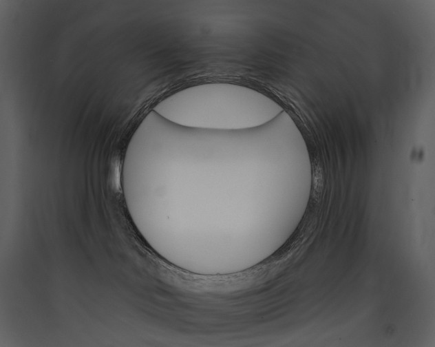 X0000089940046200707131503