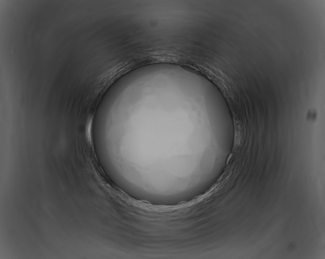 X0000089940047200707131503