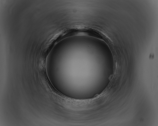 X0000089940048200707131503