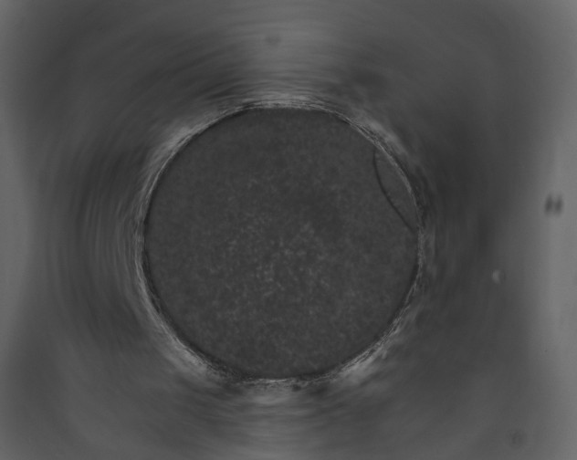 X0000089940049200707131503