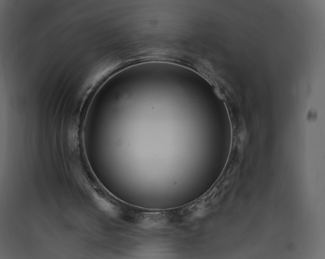 X0000089940050200707131503