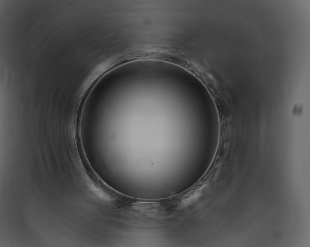 X0000089940051200707131503