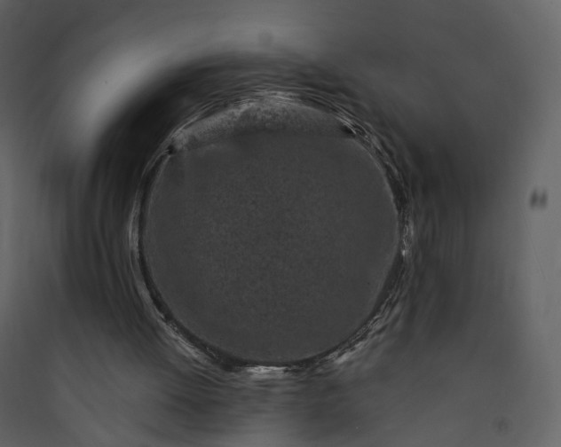 X0000089940052200707131503