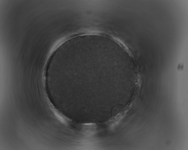 X0000089940053200707131503