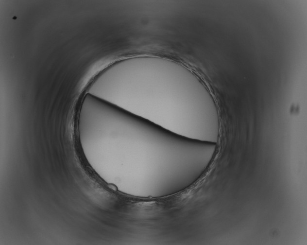 X0000089940054200707131503