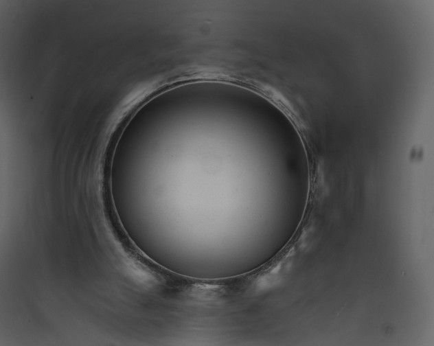 X0000089940055200707131503