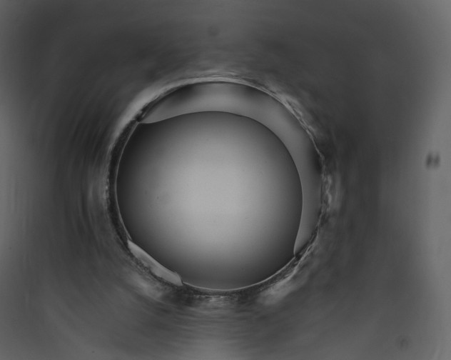 X0000089940056200707131503