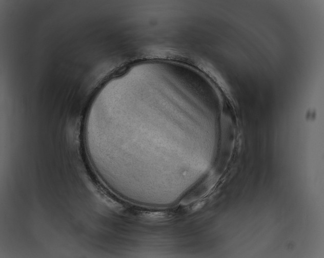 X0000089940058200707131503