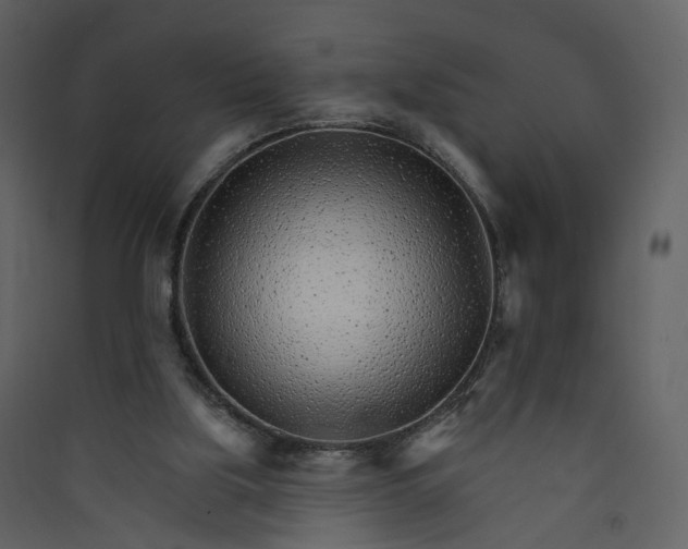 X0000089940059200707131503