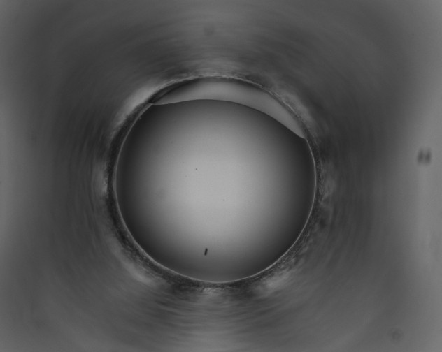 X0000089940060200707131503