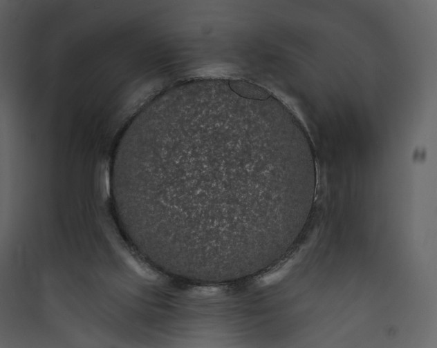 X0000089940061200707131503