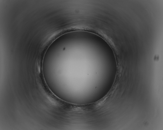 X0000089940062200707131503